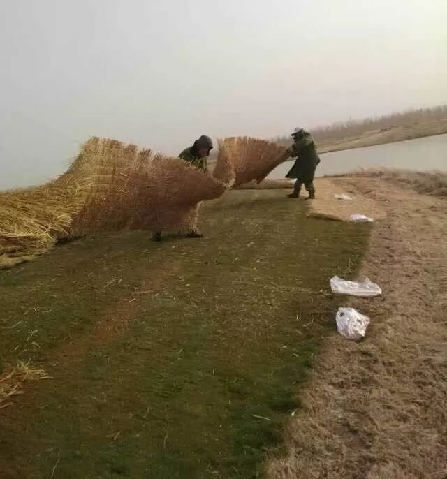 「焦点」中卫这个地方的蓝天碧水美出了新高度，比这更美的还有……