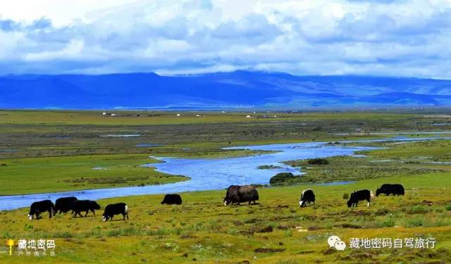 成都出发318川藏线到亚丁攻略,川藏318成都到稻城亚丁摩旅