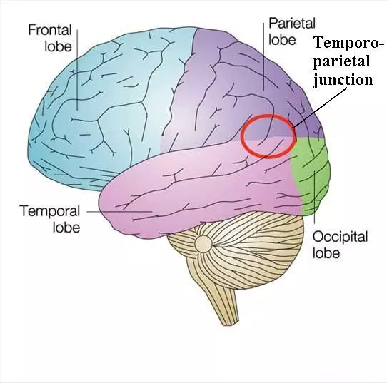 为什么会出现睡眠瘫痪,睡觉频繁出现睡眠瘫痪