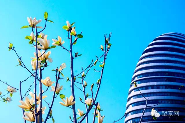 如果有人说“望京什么破地儿？”就把这条微信甩给他