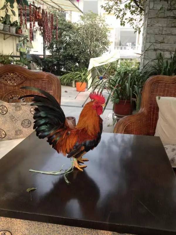 她，用旅行，战胜了癌症。