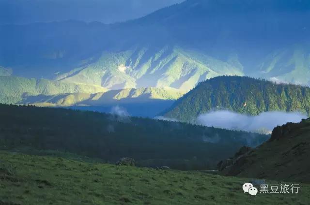 今年五一不出门宅在家里,五一不宅家悦游好时节