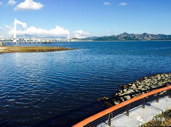 深圳新出好玩的地方,深圳市哪些公园比较值得去