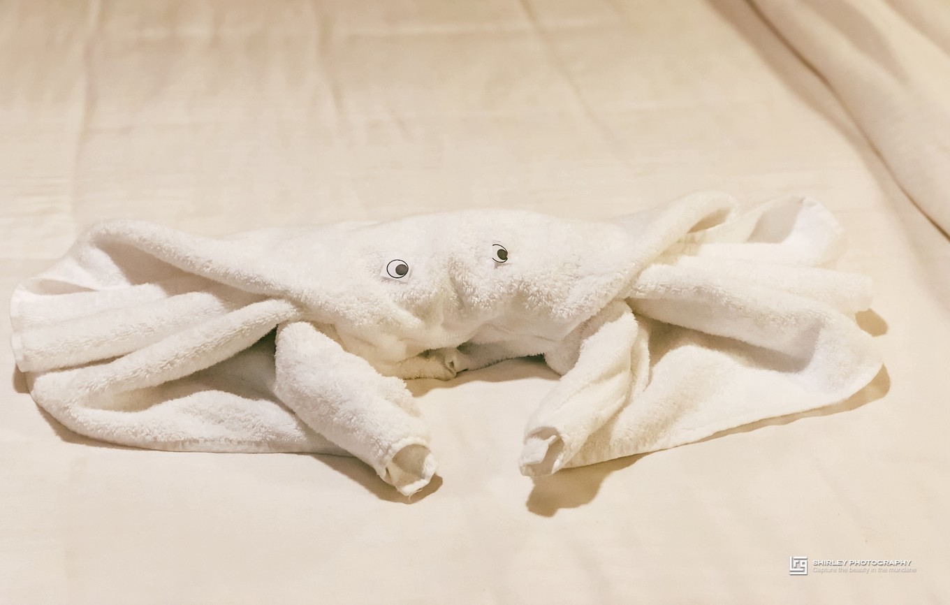 邮轮喜悦号攻略,喜悦号邮轮攻略