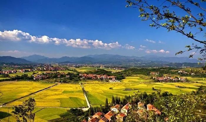 湖北省模范县名单,湖北省示范县最新消息