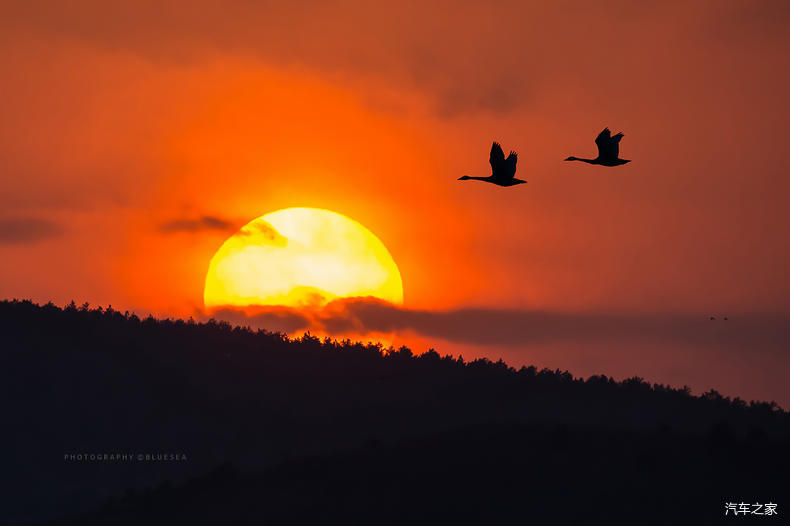 家乡之美美篇,家乡之美原唱完整版