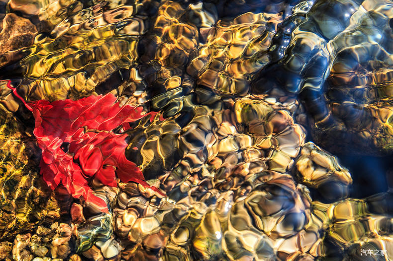 家乡之美美篇,家乡之美原唱完整版