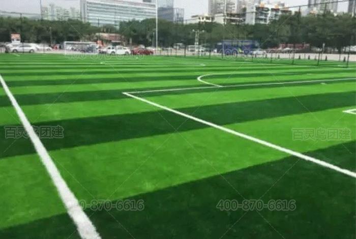 适合趣味运动会的项目,黄浦室内趣味运动会团建