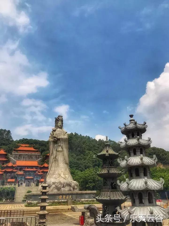 元旦南沙去哪里玩,南沙黄山鲁森林公园游玩攻略