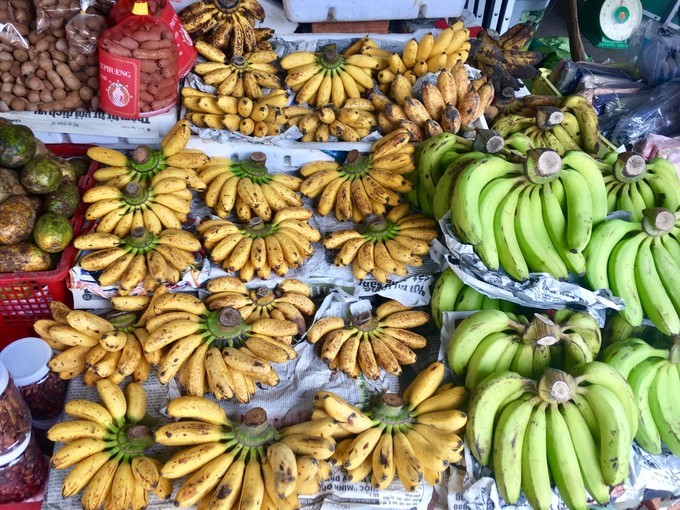 一个人越南攻略,一个人越南自驾游纪录片