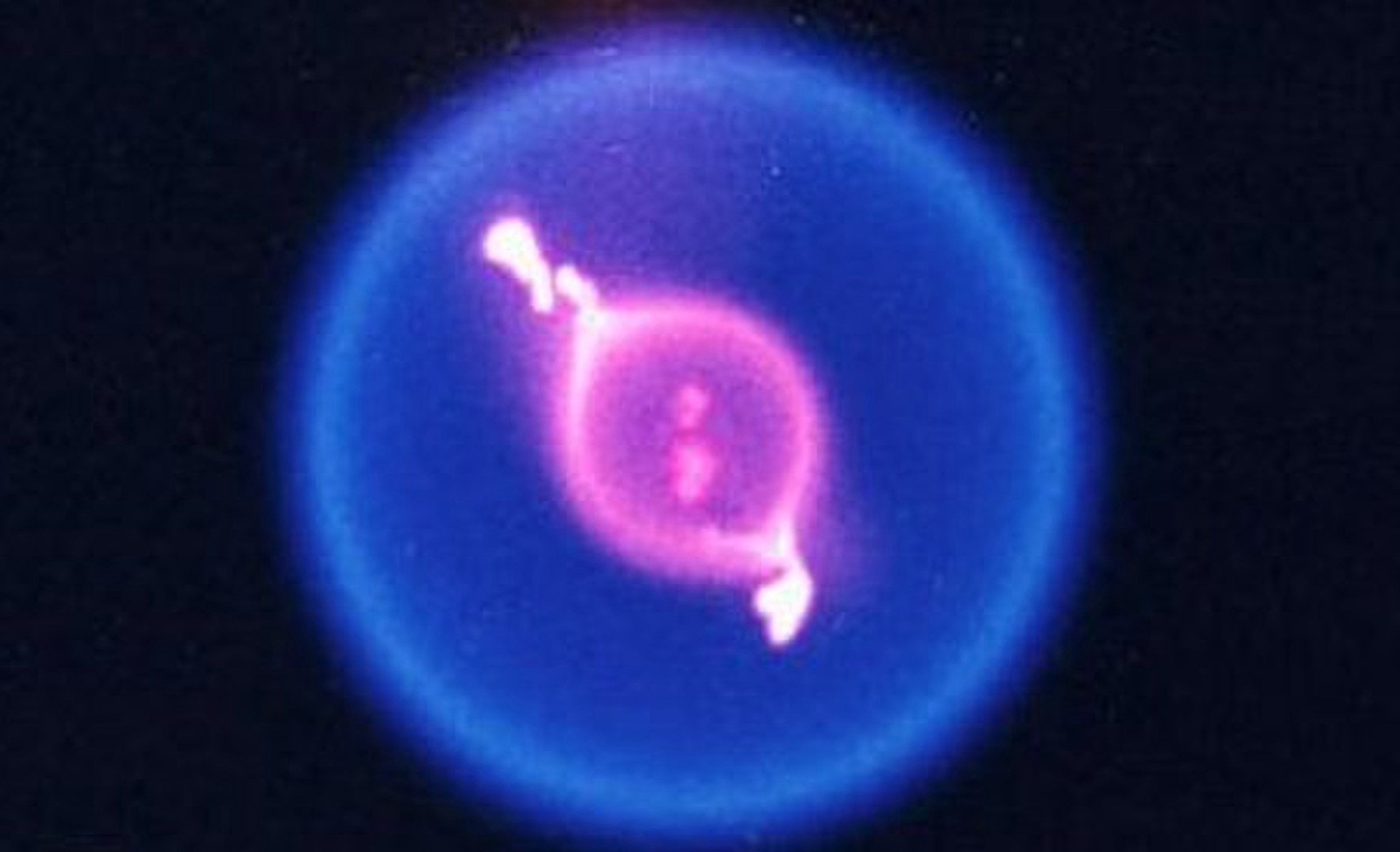 球状闪电特点有哪些,球状闪电理论