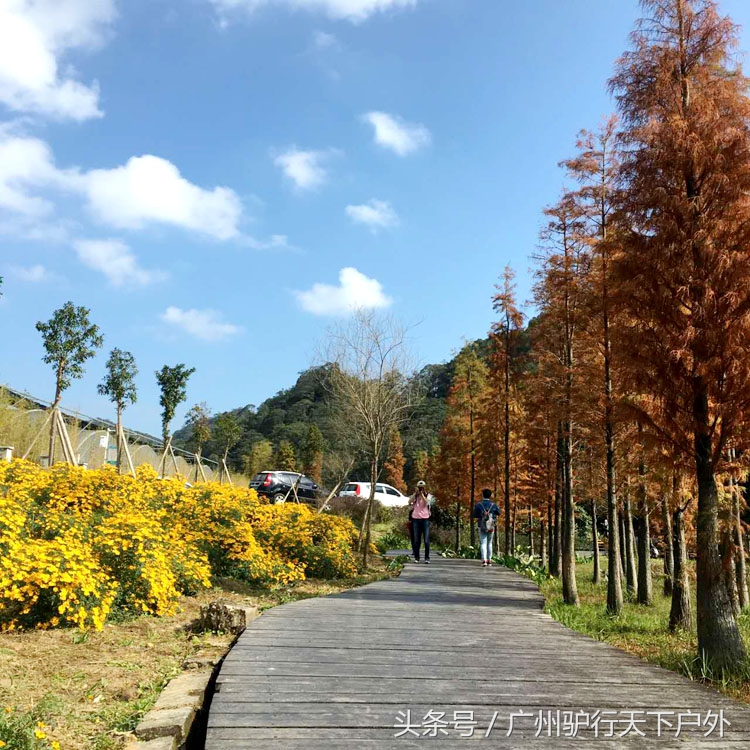 从化石门公园赏红叶旅游团,从化石门森林公园赏梅花路线