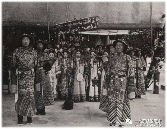 妖猫传猫是谁家的猫,妖猫传中猫为什么会成精