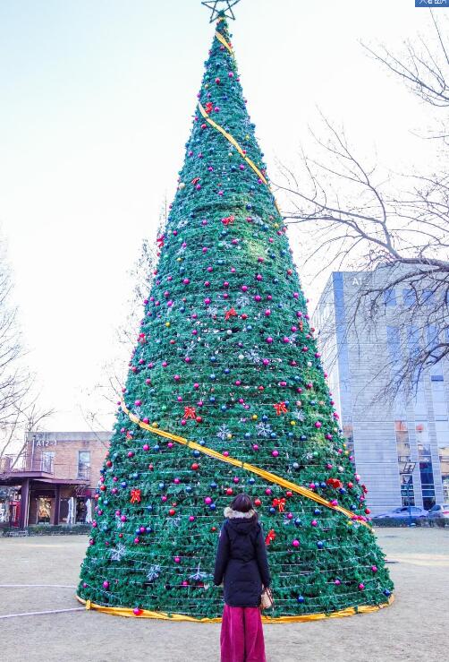 圣诞节热恋生活日记,开着轩逸陪女朋友搜集北京的圣诞树