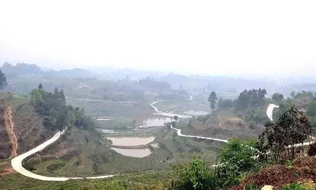 犍为县喜报,犍为近十年变化