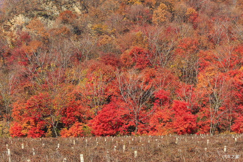 家乡之美美篇,家乡之美原唱完整版