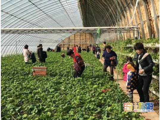 京城梨园游乐场,京城大型游乐场