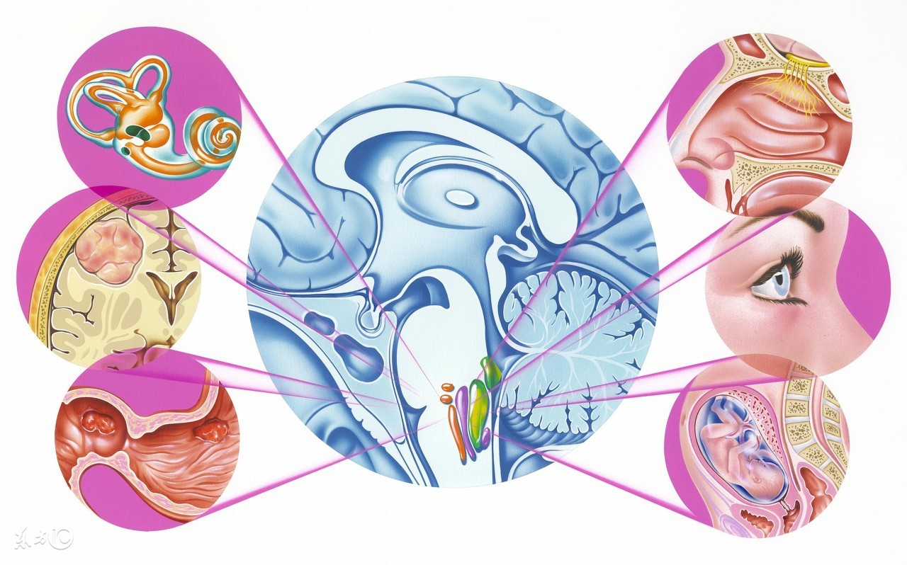 怎样预防颈椎病引起的头晕,敏使朗能预防头晕发作吗