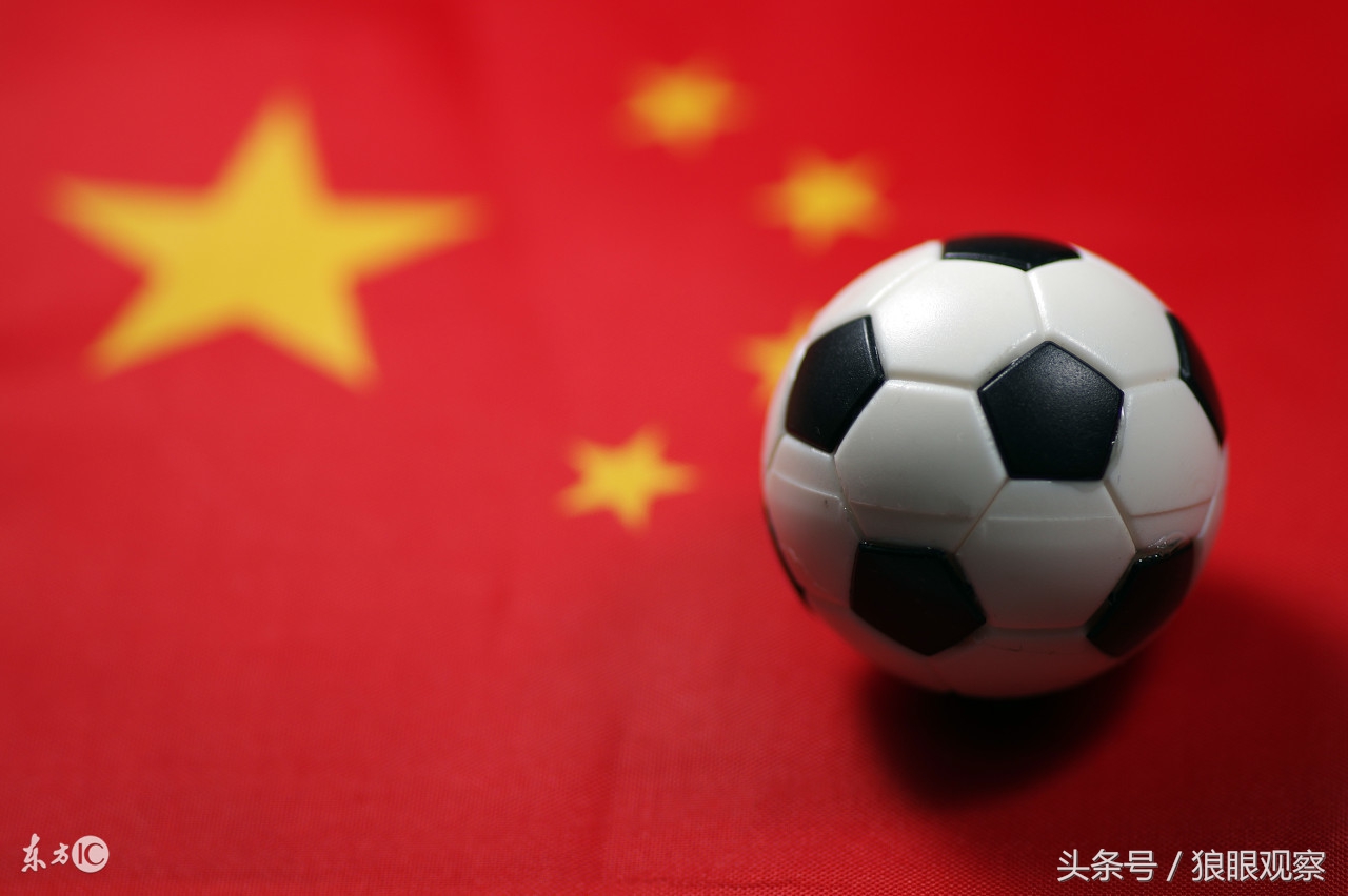 中国足协迎重大变革蔡振华何去何从