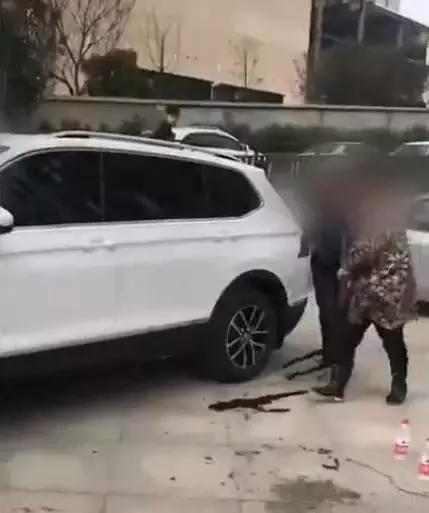 当街杀狗滴血祭新车，网友气炸！