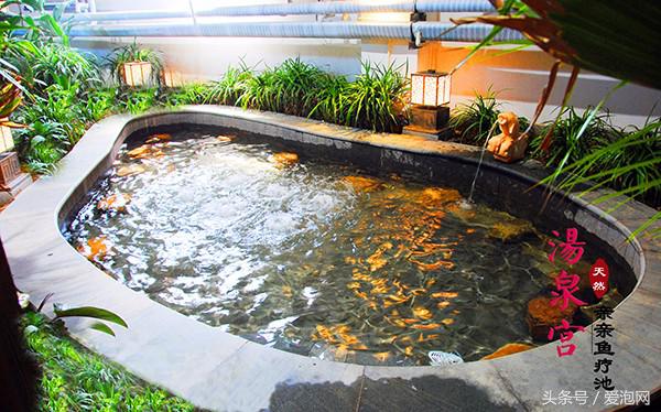 京东第一温泉视频,京东第一温泉私人泉