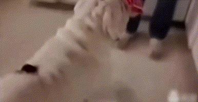 英斗劝退指南,英斗尴尬期和爆头期