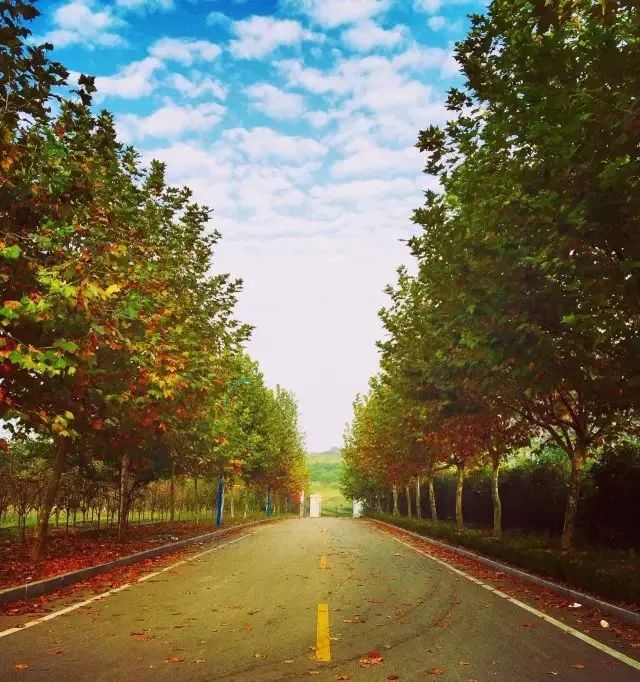 神一样的学校高考和中考都很惊艳,神一样的学校