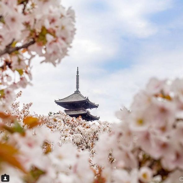 杨树林深唇镜面大牌口红测评,杨树林口红必买色号黄皮推荐