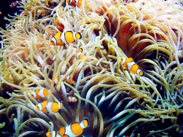 法国纪行—摩纳哥（看看F1赛道，欧洲*场赌**和摩纳哥王妃）