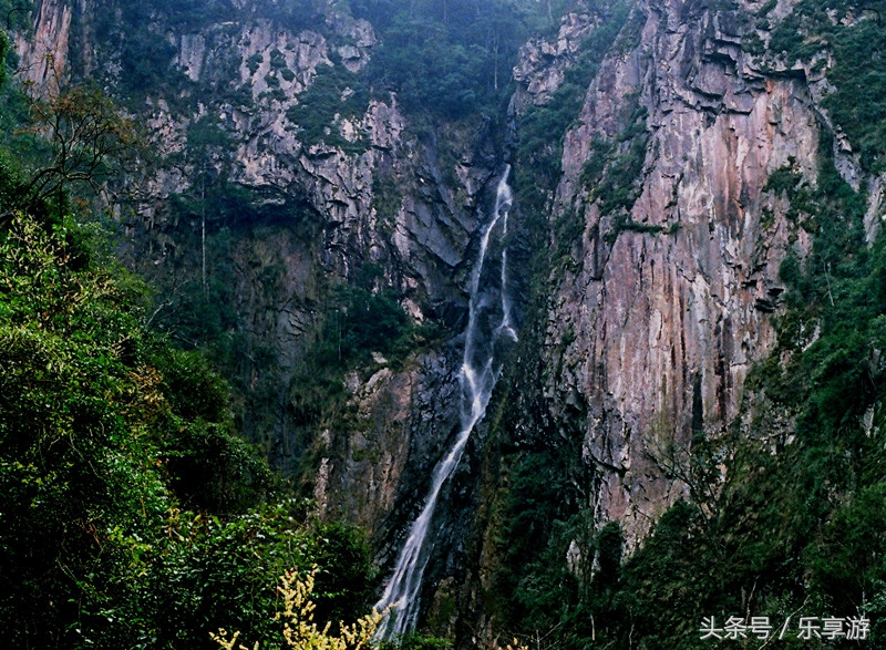 闽清黄楮林温泉,黄楮林自然保护区