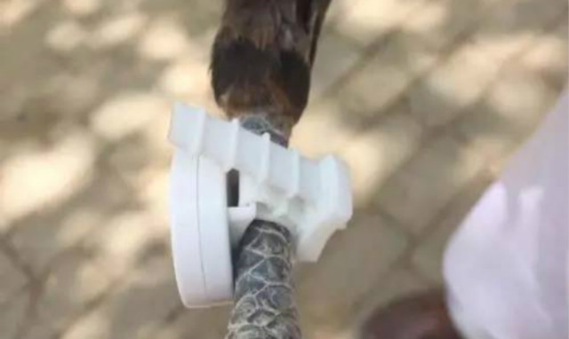 刘强东谈电商扶贫新模式,刘强东扶贫平石头村致富了吗