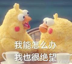 超逼真还原，老爸做的宠物小精灵鲤鱼王头套蠢到我献出膝盖1000次