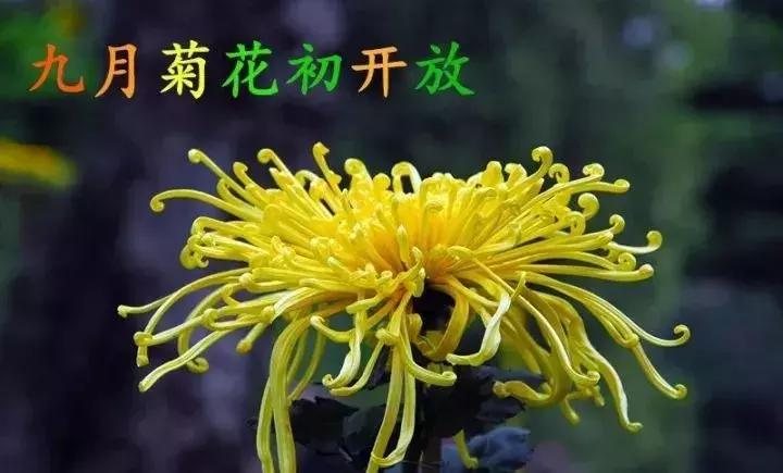 2021绝版绝美挂历,2018精美挂历有吗