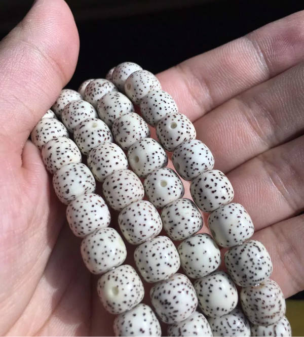 星月一个星期盘玩效果,星月三个月盘玩效果