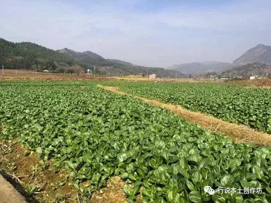 江冰：清远大山，有一种美丽你不懂！