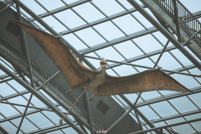 冬天去鲅鱼圈泡温泉,横店温泉谷可以泡温泉吗