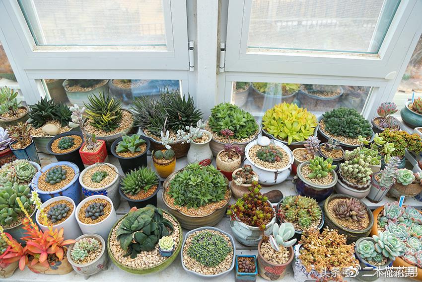 阳光房建设,怎样建造阳光房