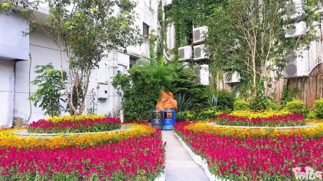 中英街当天预约当天进吗,中英街香港一侧什么时候开放