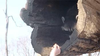 收下这份美食攻略,吃货的过年必备