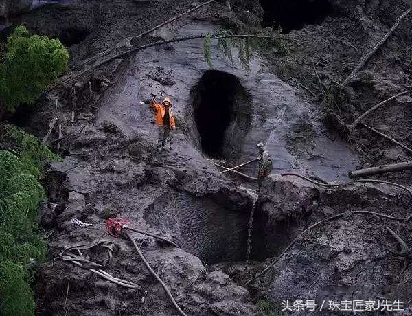 象牙禁令前收藏的象牙,哪一年开始禁象牙