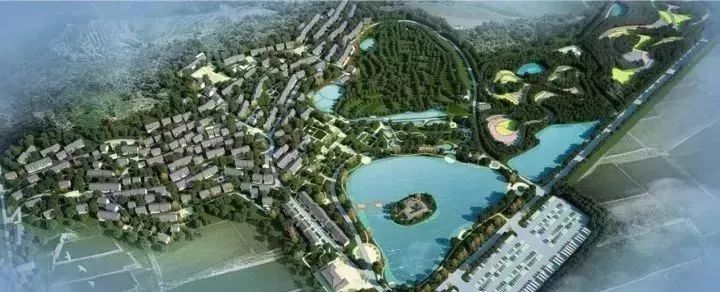 蔡甸，你凭什么这么牛？