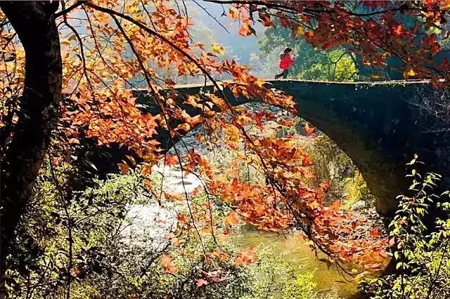 2019浙江旅行时间表,12月浙江最美旅行地排行