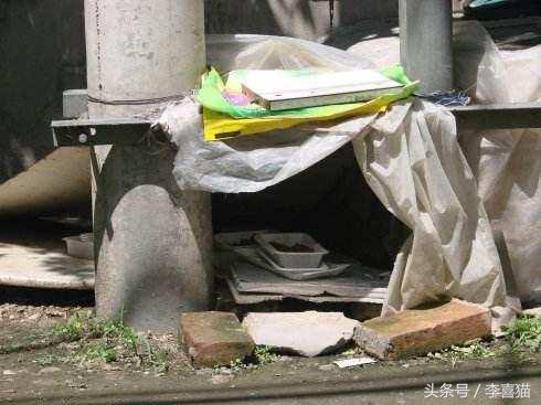 我们能为一只流浪猫做什么,在寒冷的冬季遇到流浪猫