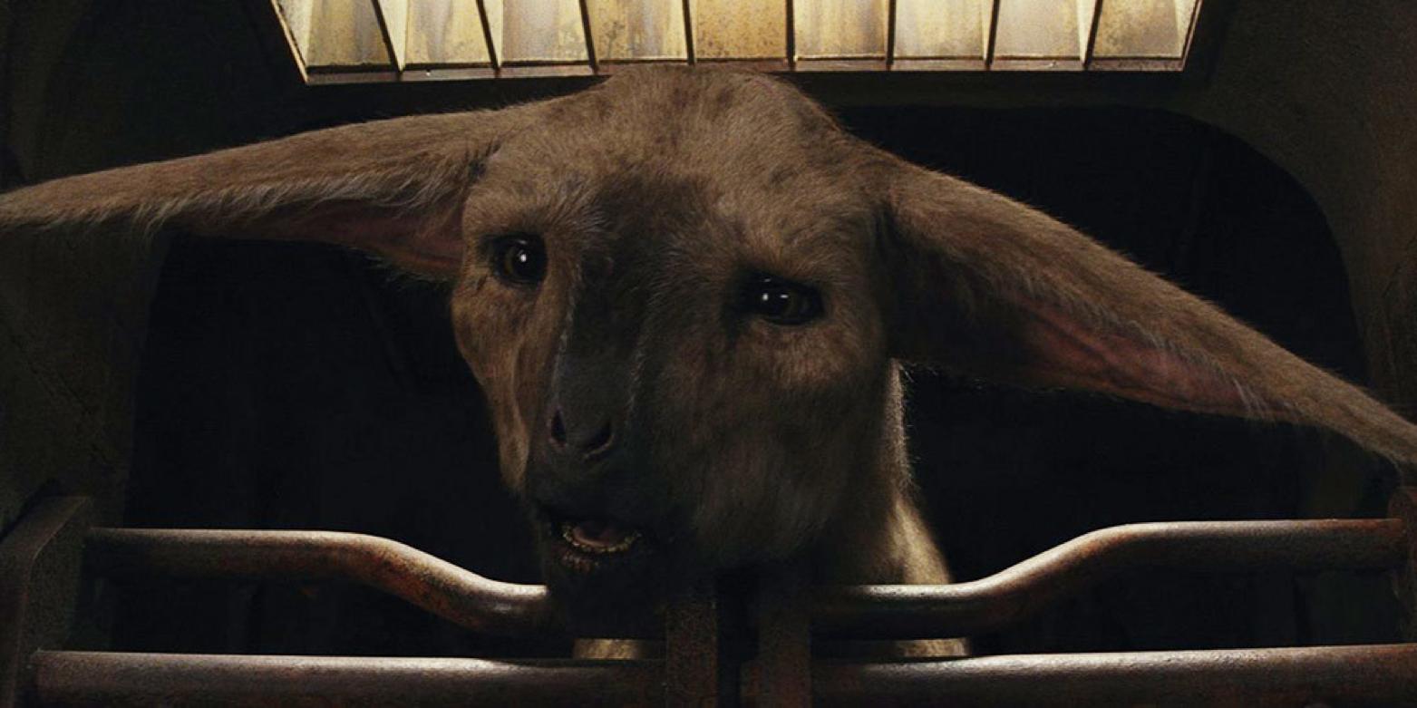 看星球大战的顺序,星球大战应该怎么看