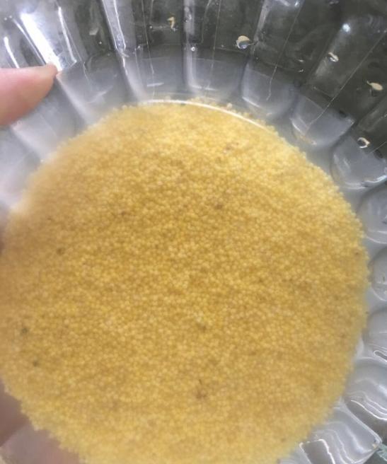 煮了很久的小米粥会怎么样,煮出来比较糯的小米