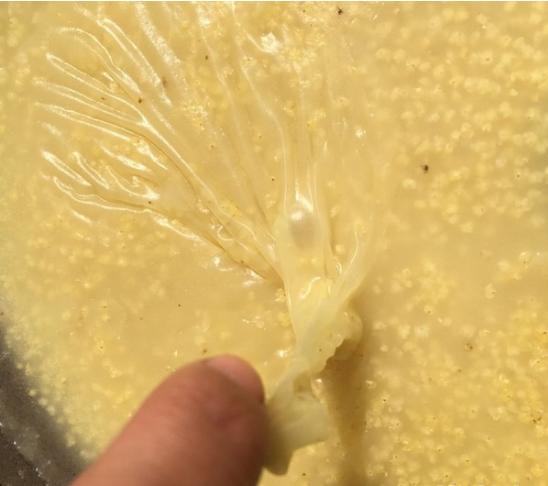 煮了很久的小米粥会怎么样,煮出来比较糯的小米