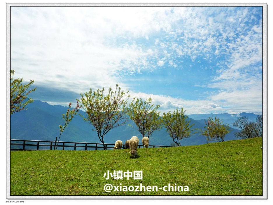 台湾清境农场，这里才是真正的清静之地！