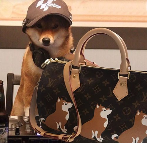 lv阿玛尼香奈儿纪梵希,lv阿玛尼纪梵希