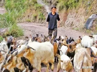 比亲爹还亲的人,比父亲大的亲哥哥叫什么