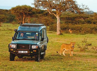 四川小伙成美国纪录片主角在非洲演绎人狮“不了情”